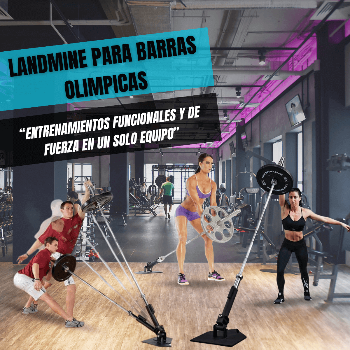 LANDMINE OLIMPICO 50MM